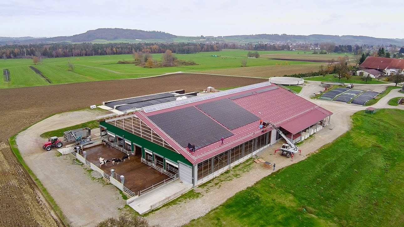 Vom Stall zum Solarkraftwerk: Nachhaltigkeit in Aktion!