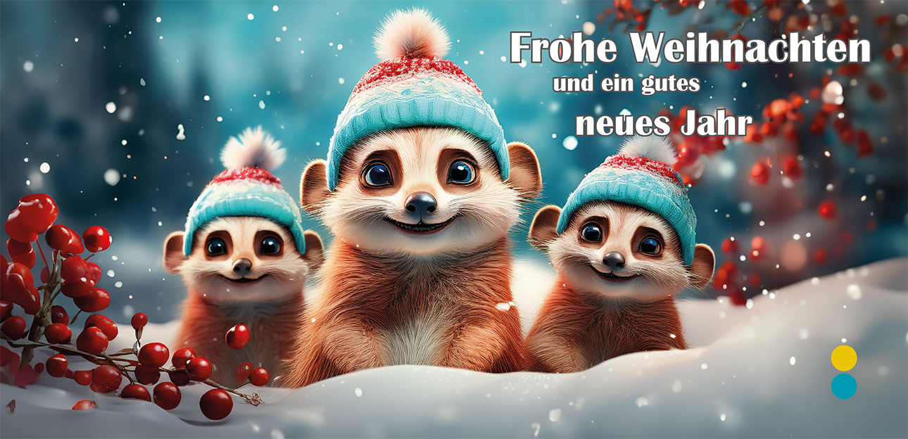 ENPLA Weihnachten 2024